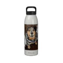 Lunacy of Cattle Dogs Luka Water Bottle