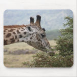 Lunch at the Acacia Tree - Mousepad