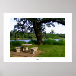 Lunch meeting picnic table summer day at the park posters