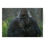 Lunch Time at the Zoo! (2) Card