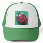 Lunching Lady . . . Bug Hat