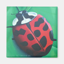 Lunching Lady . . . Bug Magnet