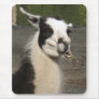 Lunching Llama Mouse Mat