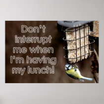 Lunchtime Break Poster Print