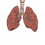 Lungs t-shirts