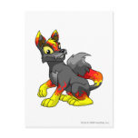 Lupe Fire postcards