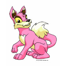Lupe Pink t-shirts