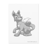 Lupe Silver postcards
