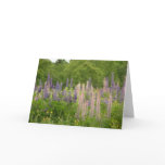 Lupine Card