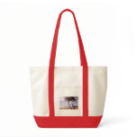 Luquillo Beach, PR bags
