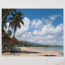 Luquillo Beach Puerto Rico Flyers