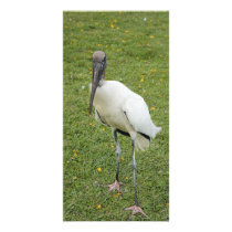 Lurch Custom Photo Card