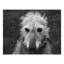 Lurcher Custom Invites