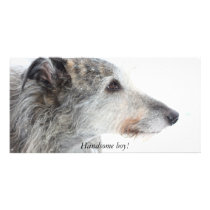 Lurcher dog in snow, Handsome boy! Photo Card Template