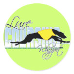 Lure Coursing Whippet stickers