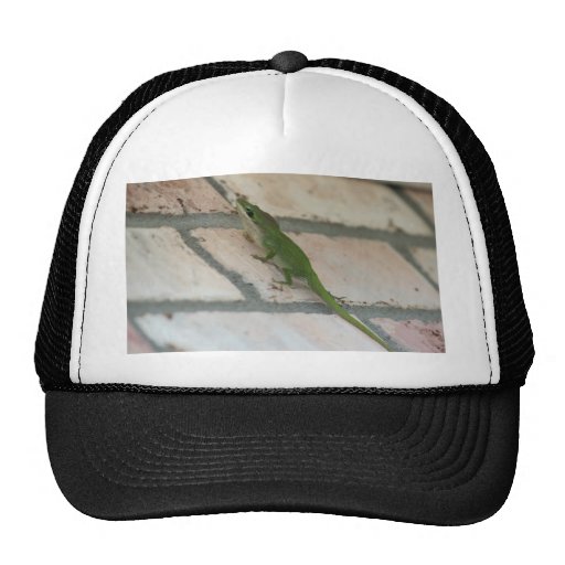 Lurking Green Lizard Trucker Hats