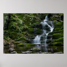 Lush Flowing Falls Poster
