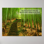 Lush Green Bamboo Forest in Taiwan Print
