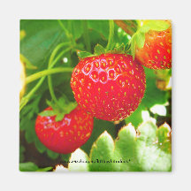 Lush Strawberries - Magnet