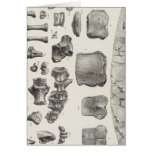 LXVII Testudo, Vultur cards