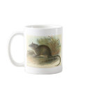 Lydekker - Common Dormouse Phalanger/Possum mugs