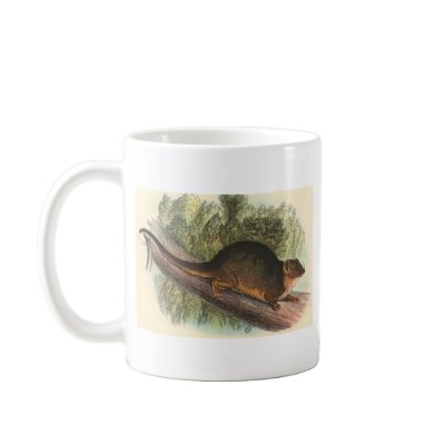Lydekker - Common Ring-Tailed Phalanger/Possum Mug by LisasLair
