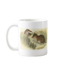 Lydekker - Short-Nosed Bandicoot Bookstore Promo Coffee Mugs