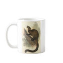Lydekker - Taguan Flying Phalanger/Possum Promo mugs