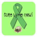 Lyme Disease: Hidden Epidemic Square Stickers