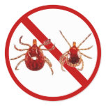 Lyme Disease Tick Stickers - Customise