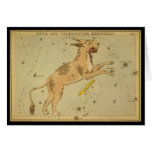 Lynx and Telescopium Herschilii Greeting Cards