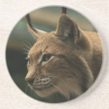 Lynx Beverage Coaster