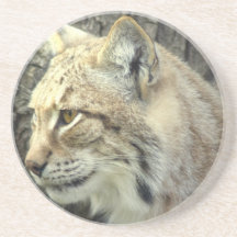 Lynx Cat Coasters