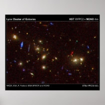Lynx Cluster of Galaxies