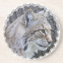 Lynx Coasters