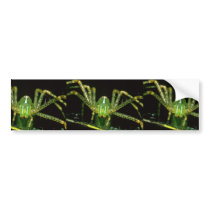 Lynx Spider Bumper Sticker