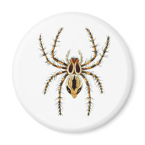 Lynx Spider Magnets