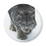 Lynx Winter Refrigerator Magnet