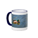 M is for Mallard - mug