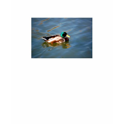 M is for Mallard - shirt by Horseshoes3