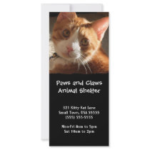 Mac Cat Photo Animal Adoption Bookmark