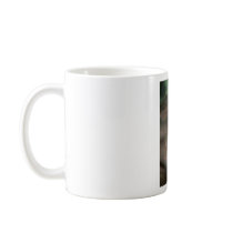 Macaque Monkey Borneo Coffee Mug