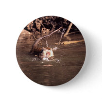 Macaque Monkey in Borneo Pins