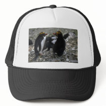 Macaroni Penguin - Pair At Nest Trucker Hats