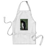 Macaroni Penguin Standing Erect aprons