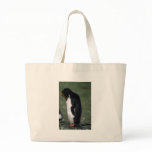 Macaroni Penguin Standing Erect bags