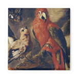 Macaw and Bullfinch magnets