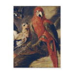 Macaw and Bullfinch postcards