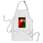macaw aprons