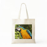 Macaw Bag